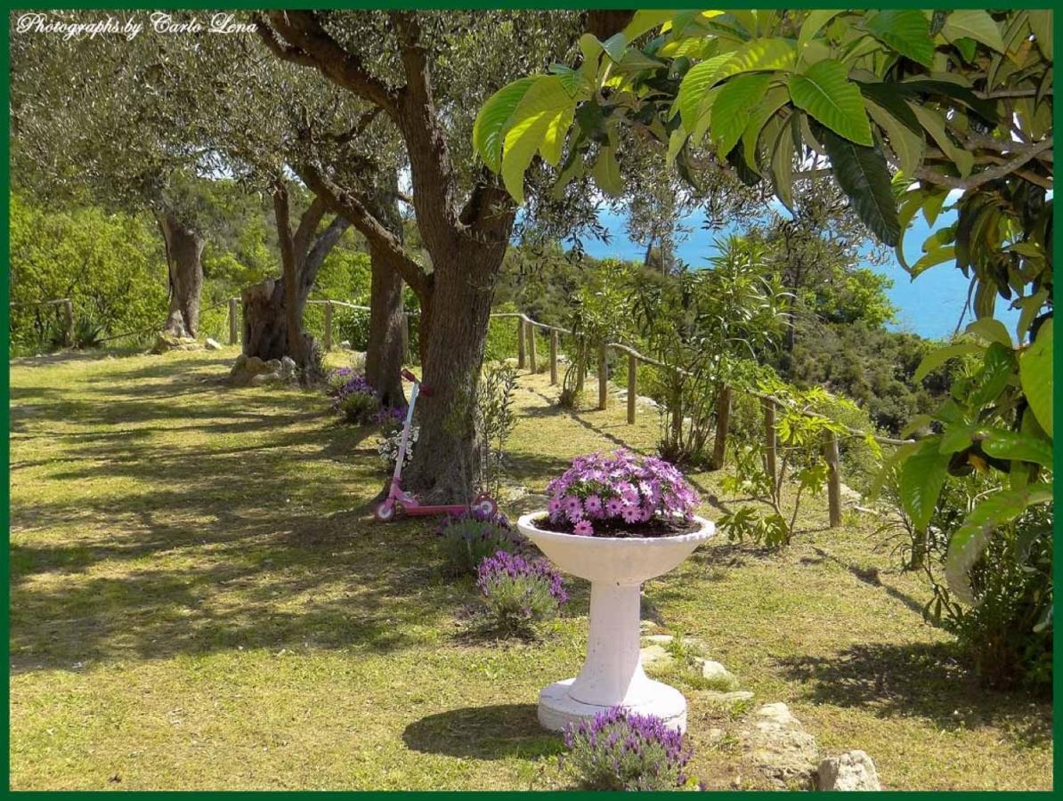 Villa Pierina Финале Лигуре Екстериор снимка