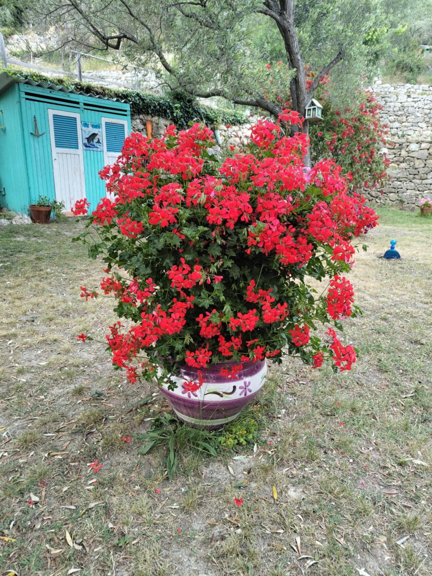 Villa Pierina Финале Лигуре Екстериор снимка